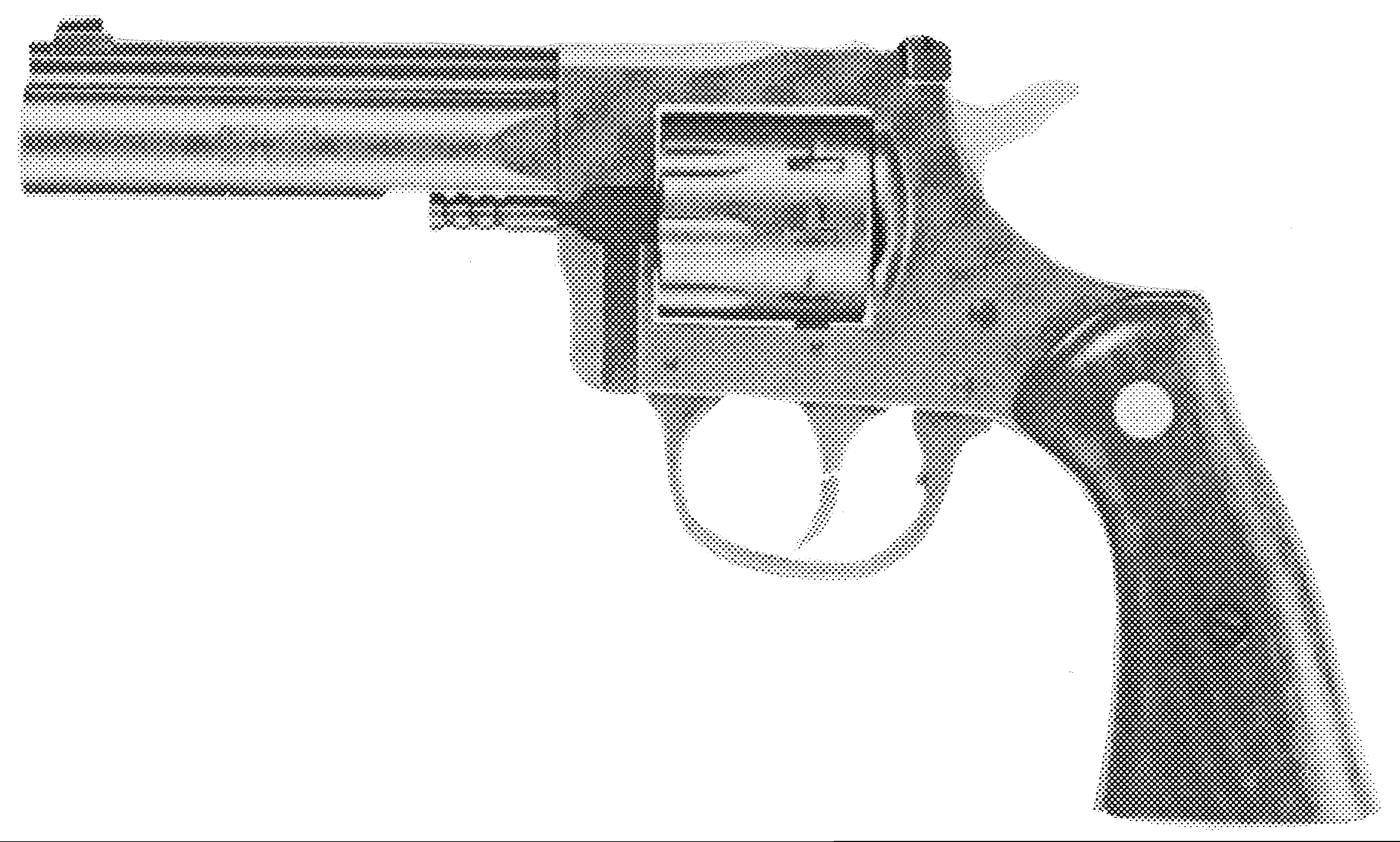 Model 904
