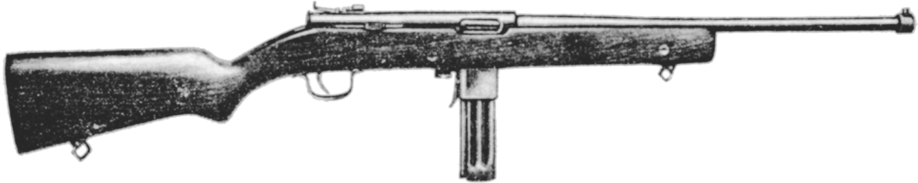 Reising Model 60