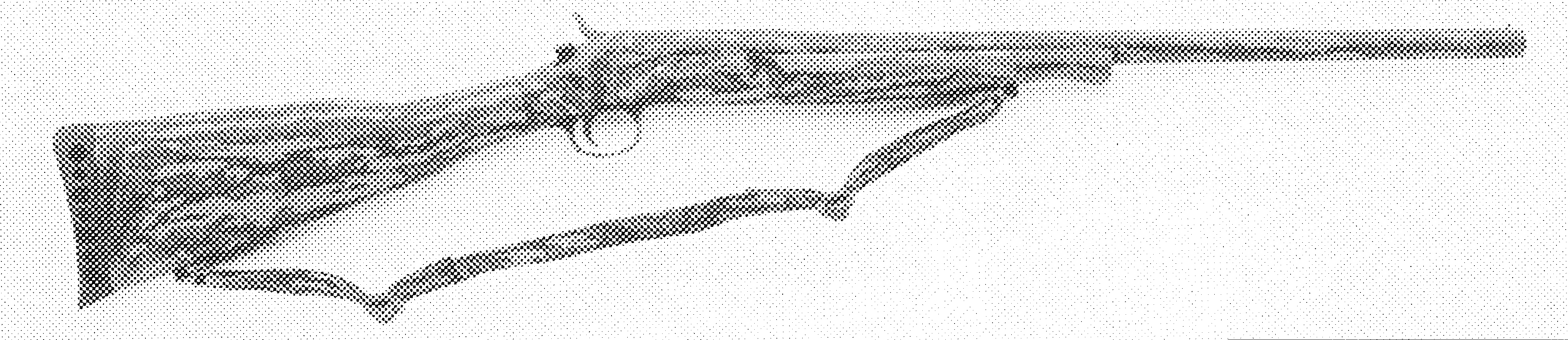 Youth Turkey Gun
