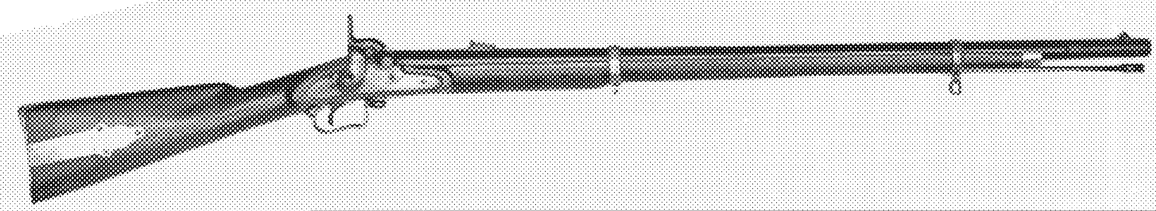 Percussion Rifle