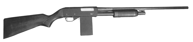 IZH81