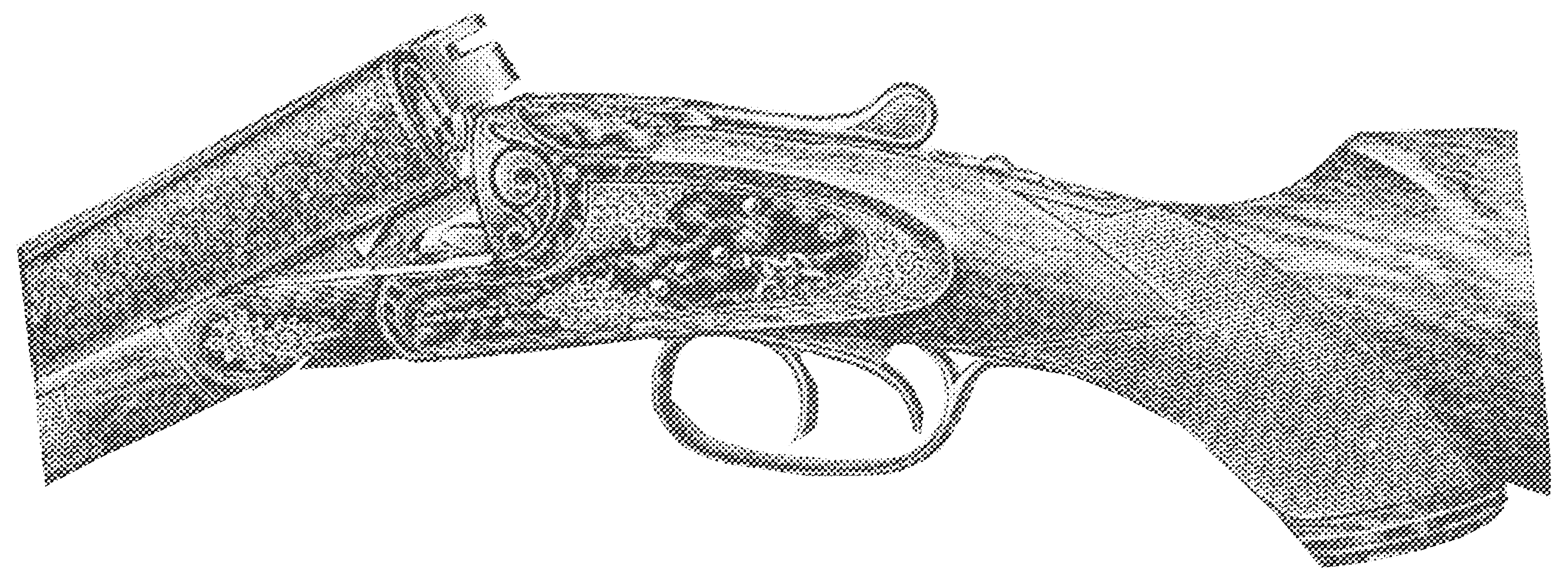 Paragon Grade Shotgun
