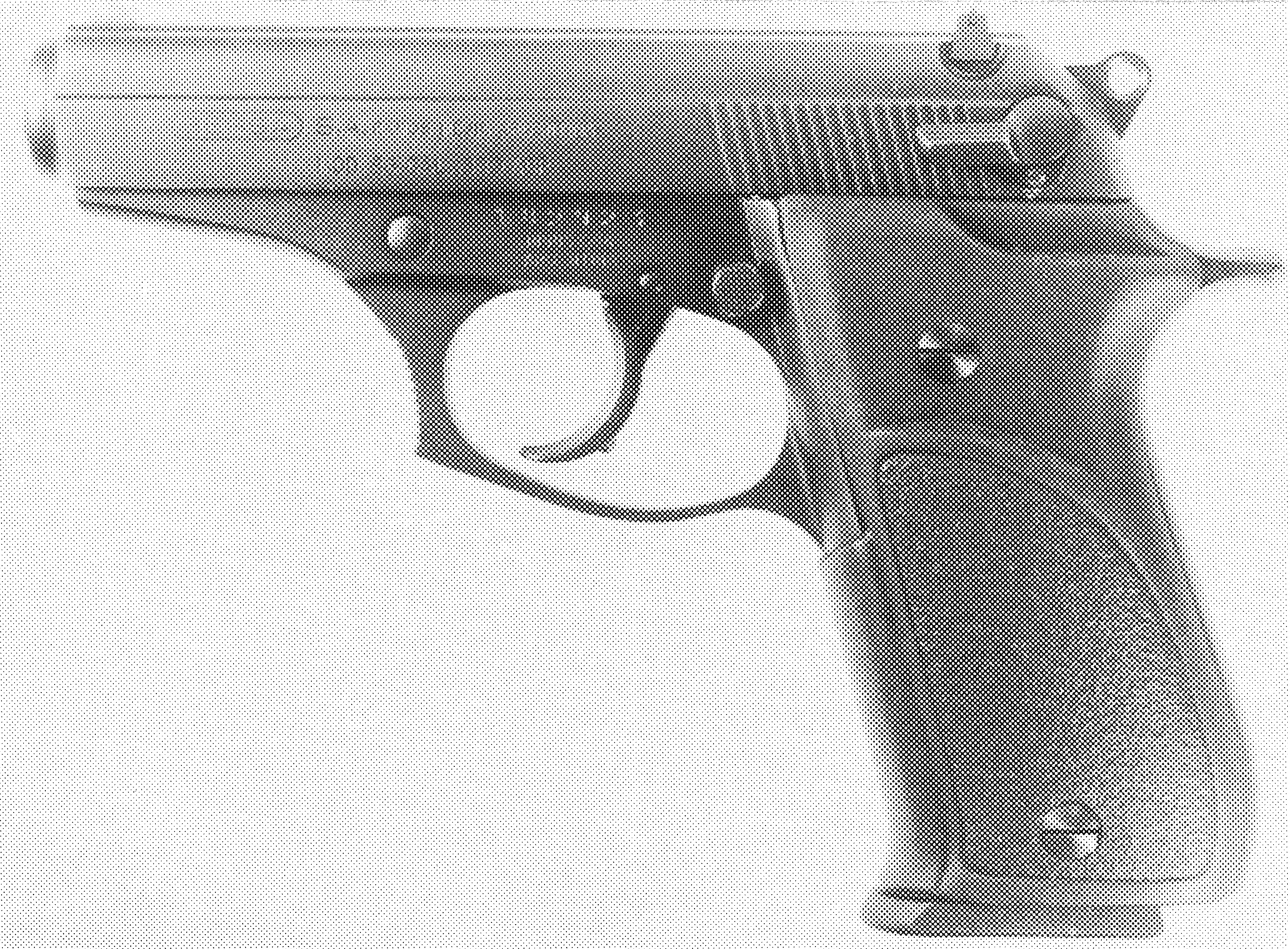 Model 86