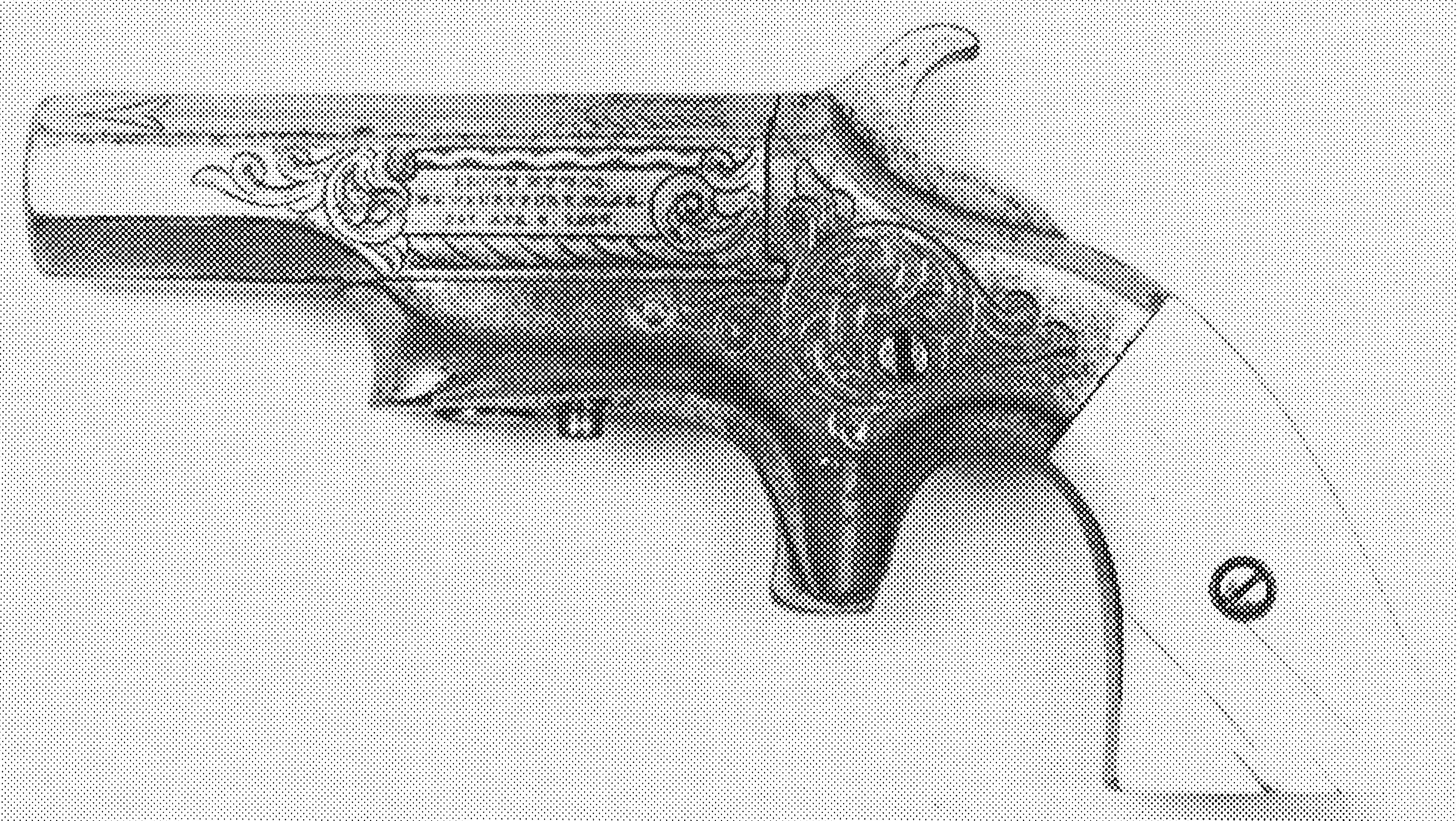 Southerner Derringer