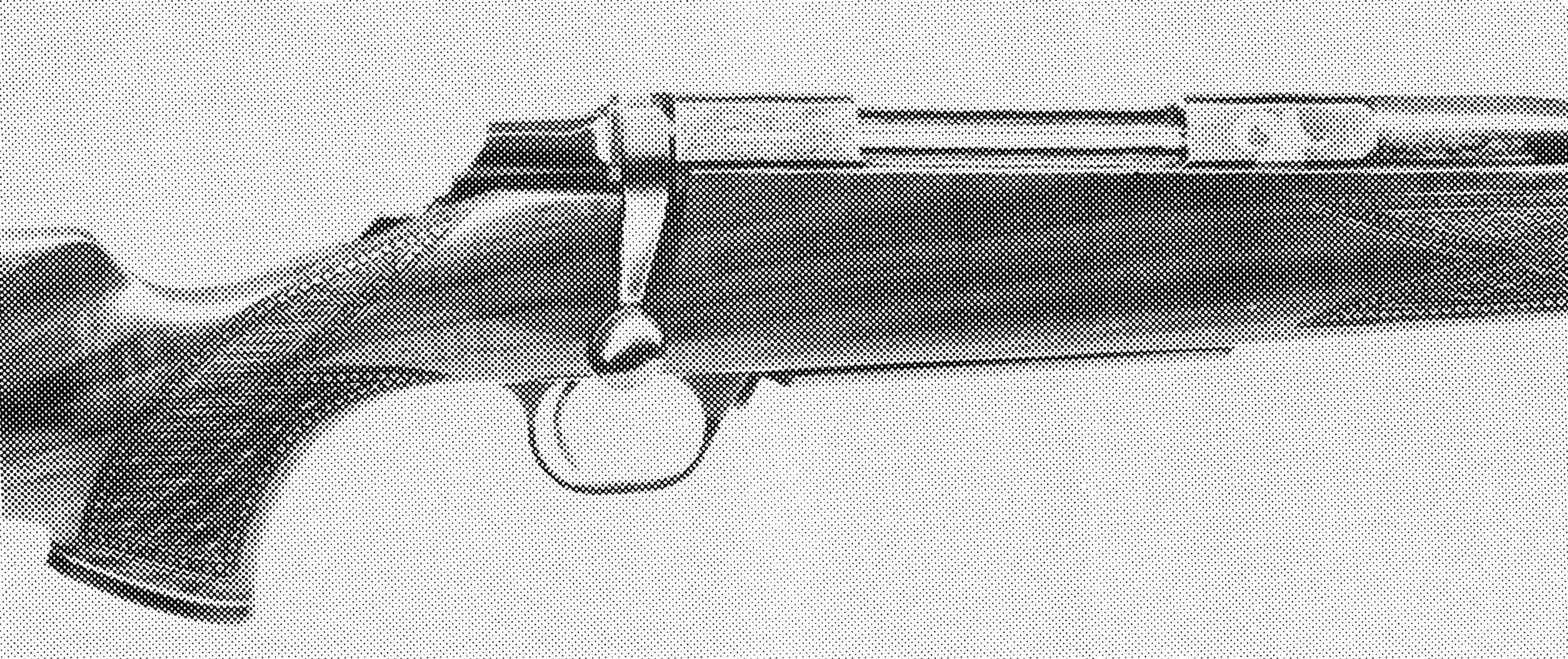 A-Bolt Big Horn Sheep Issue