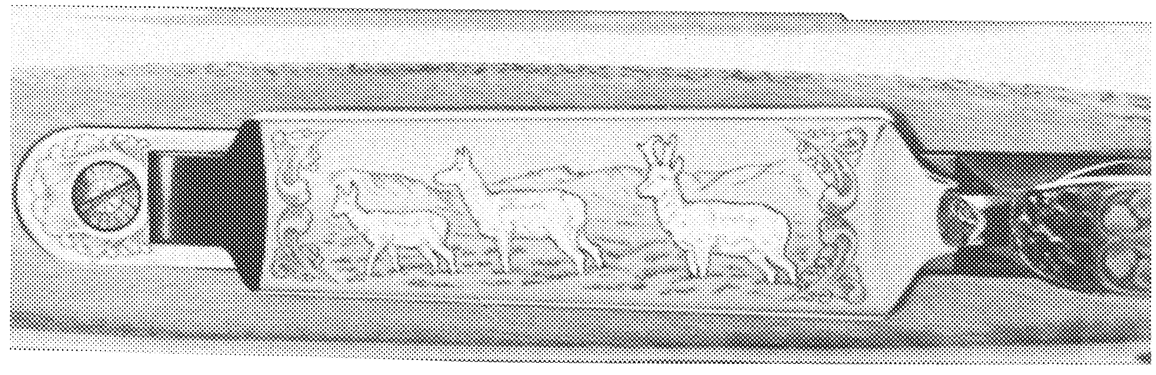 A-Bolt Pronghorn Issue