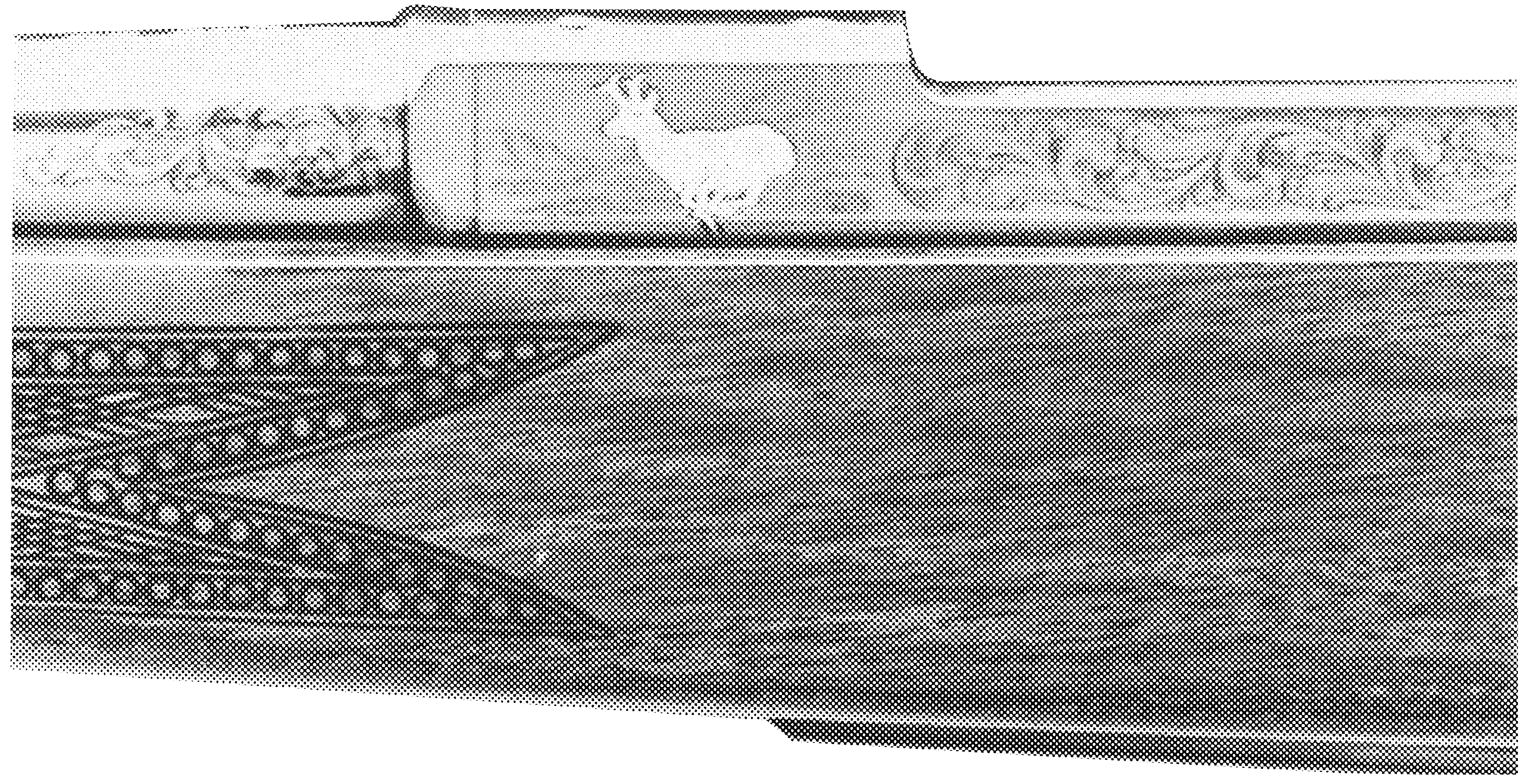 A-Bolt Pronghorn Issue