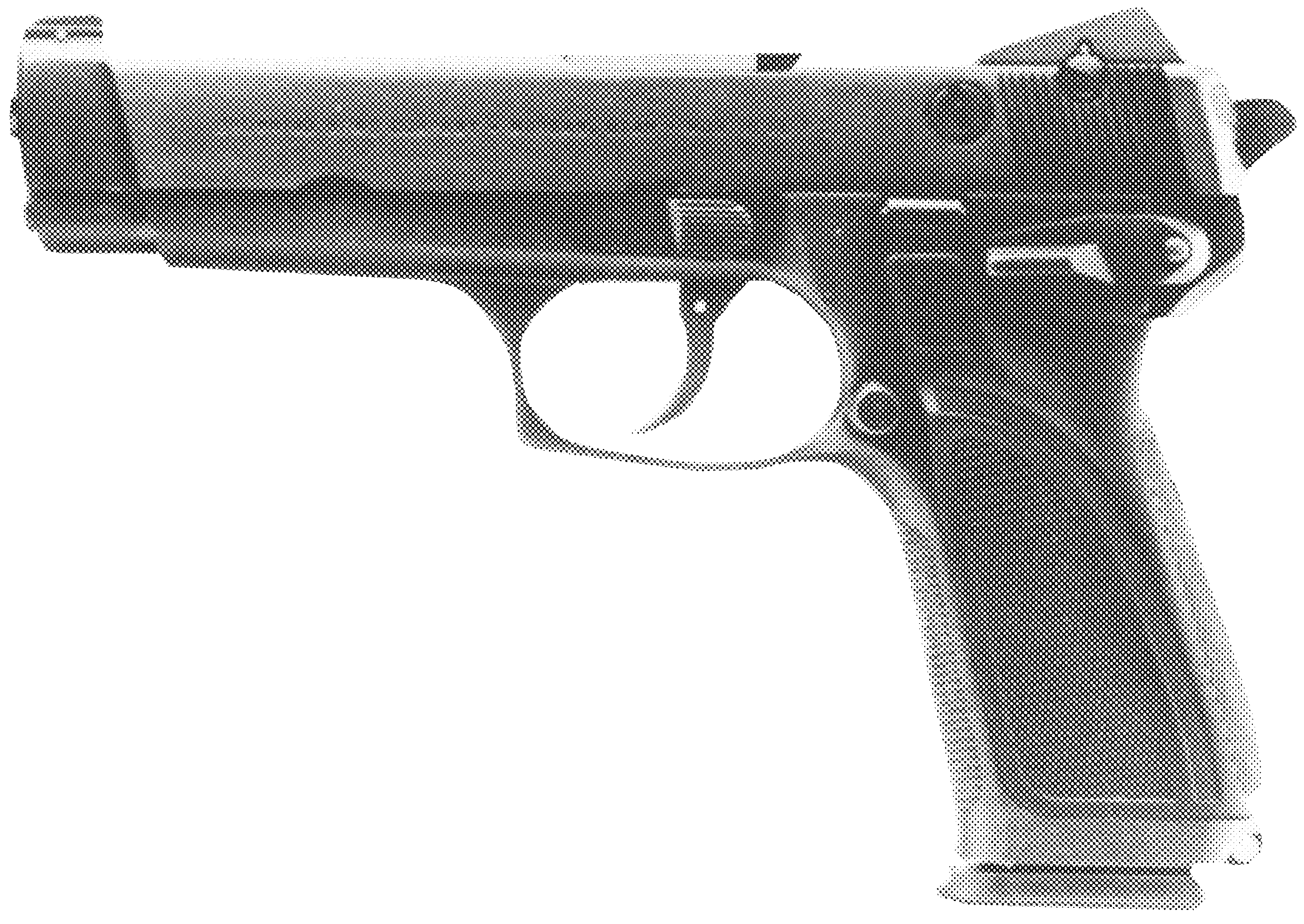 BDM Pistol