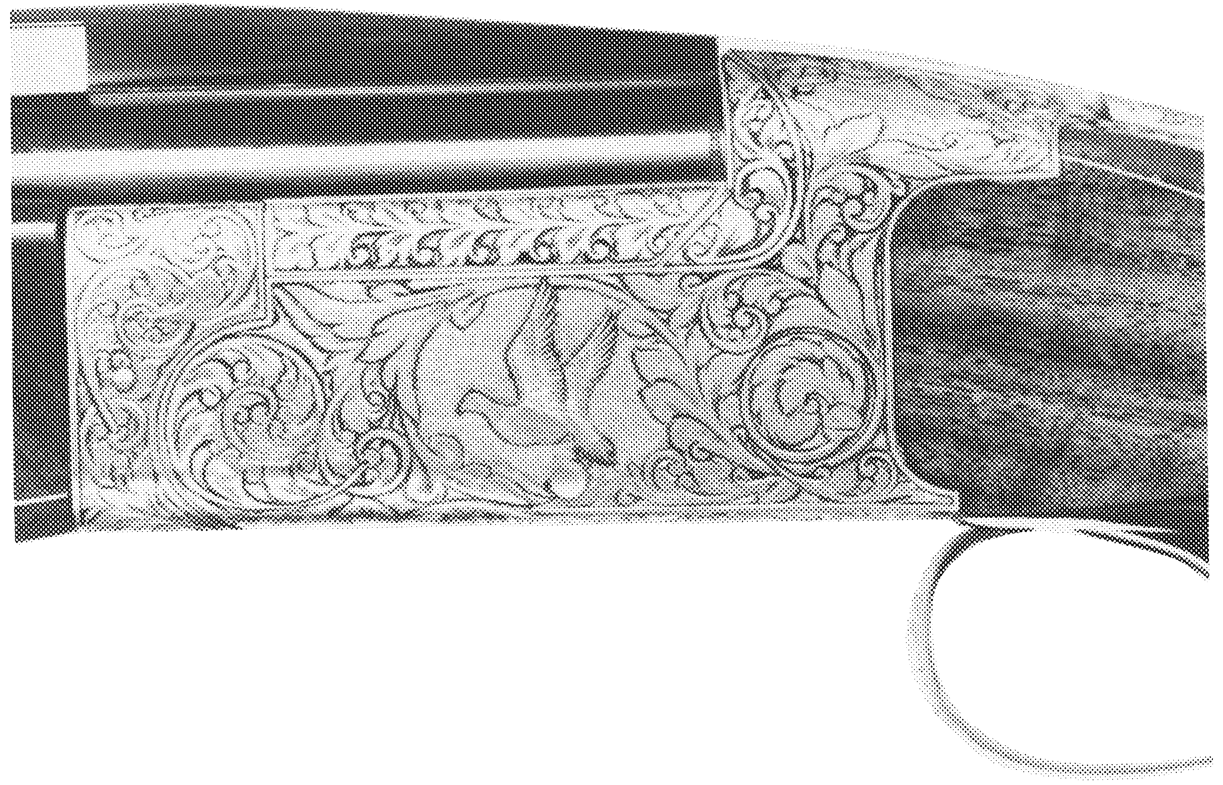 BT-99 Plus—Pigeon Grade