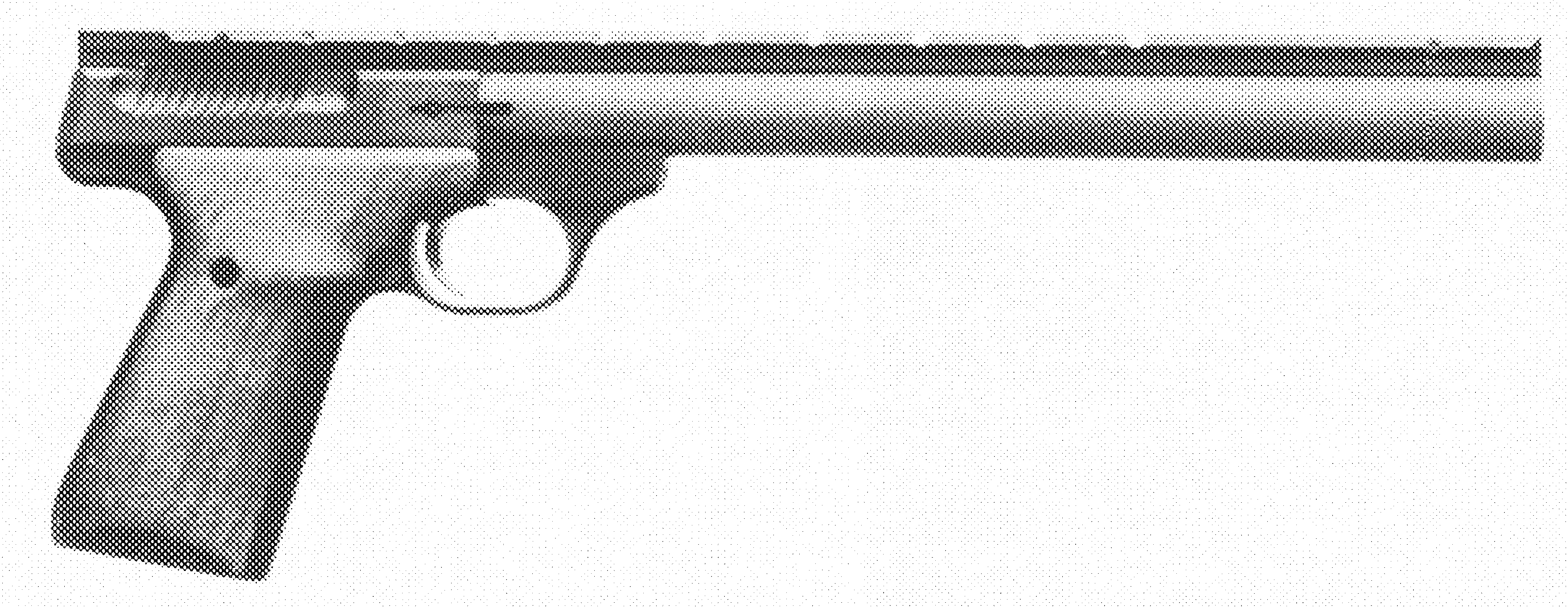 Buck Mark Varmint