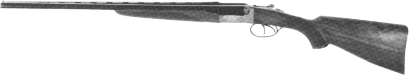 RGP Shotgun