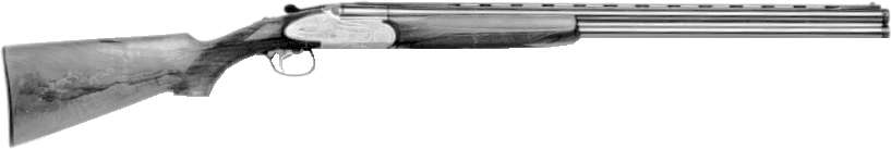 Regent II