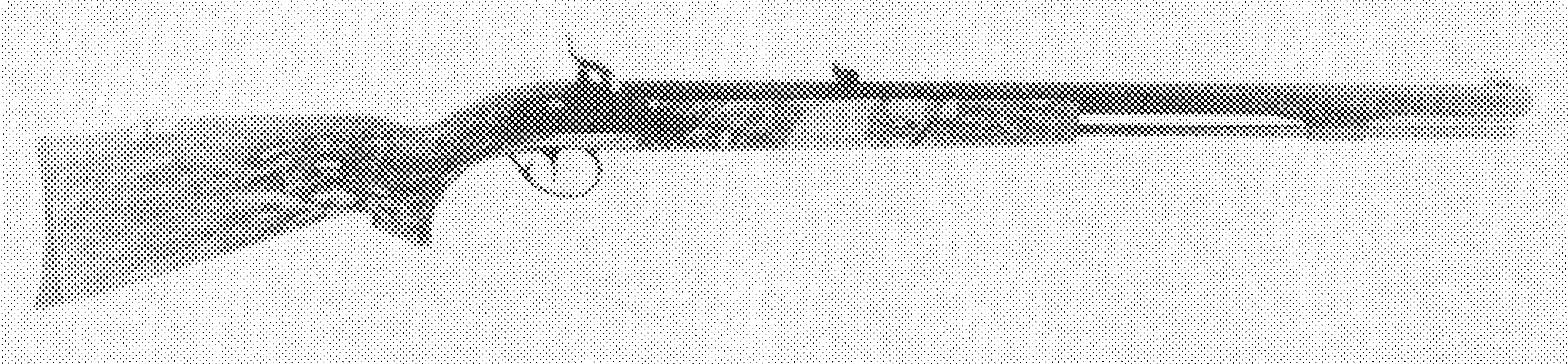 Timber Wolf Rifle