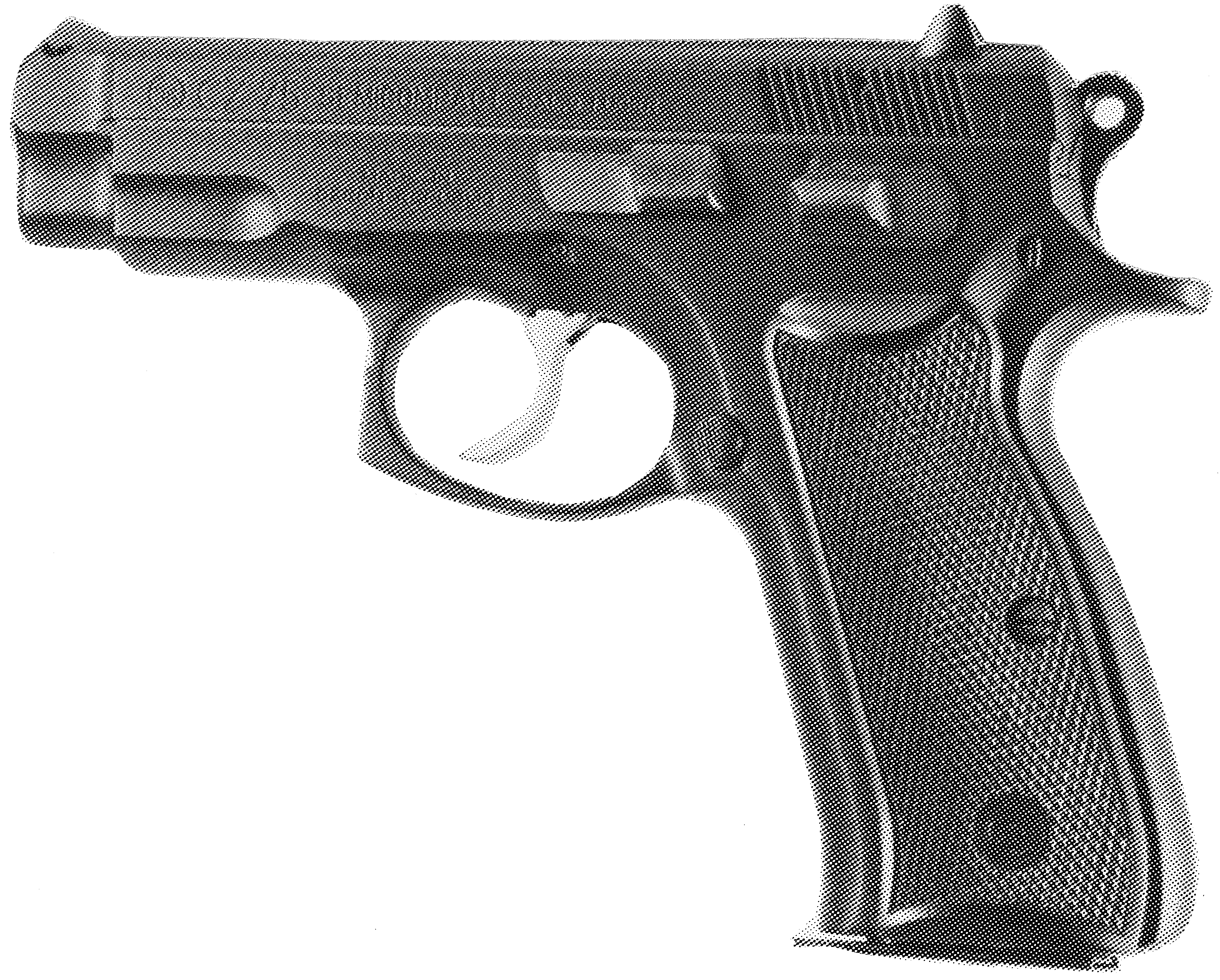 CZ 75 Semi-Compact