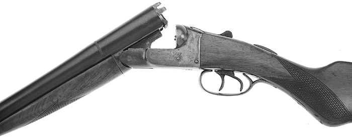 Davis-Warner Expert Hammerless