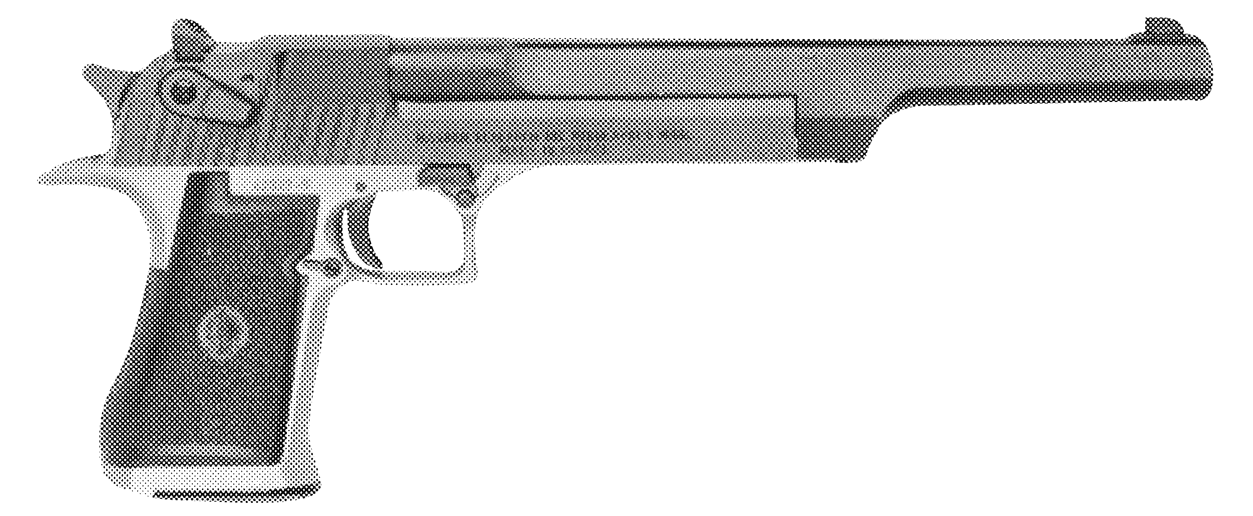 Desert Eagle 50 Action Express