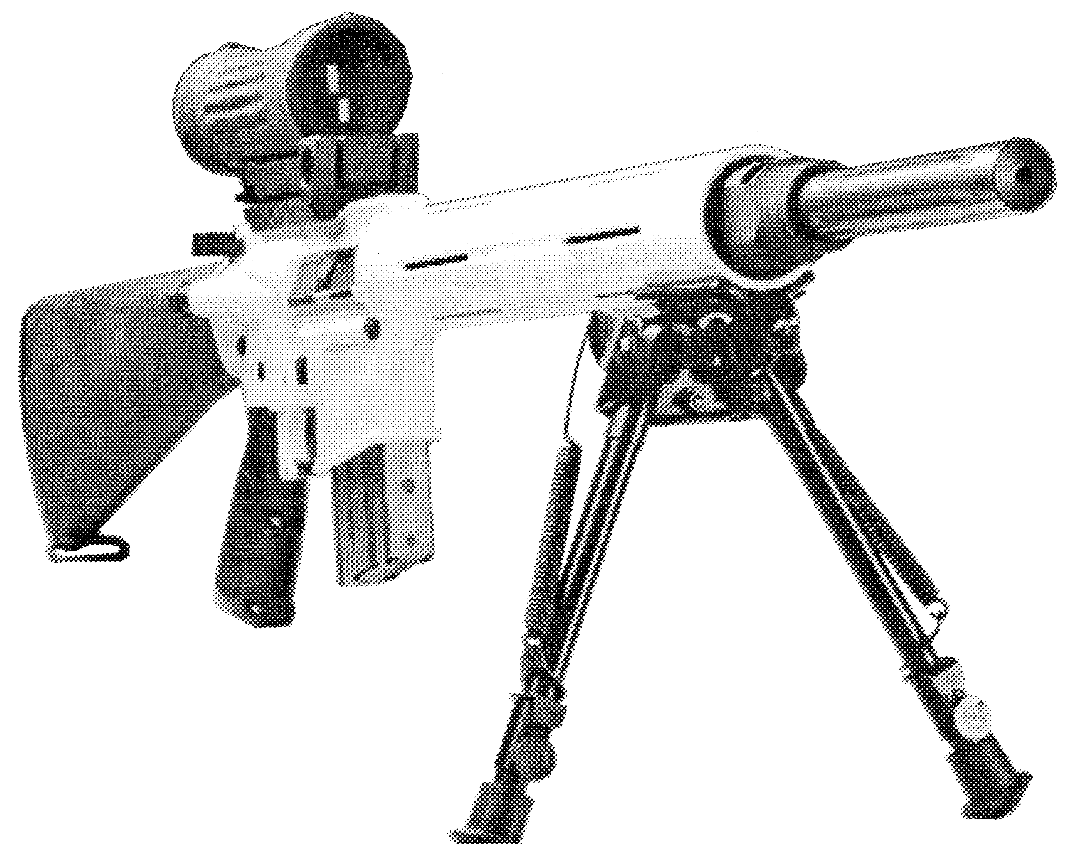 Panther Arctic