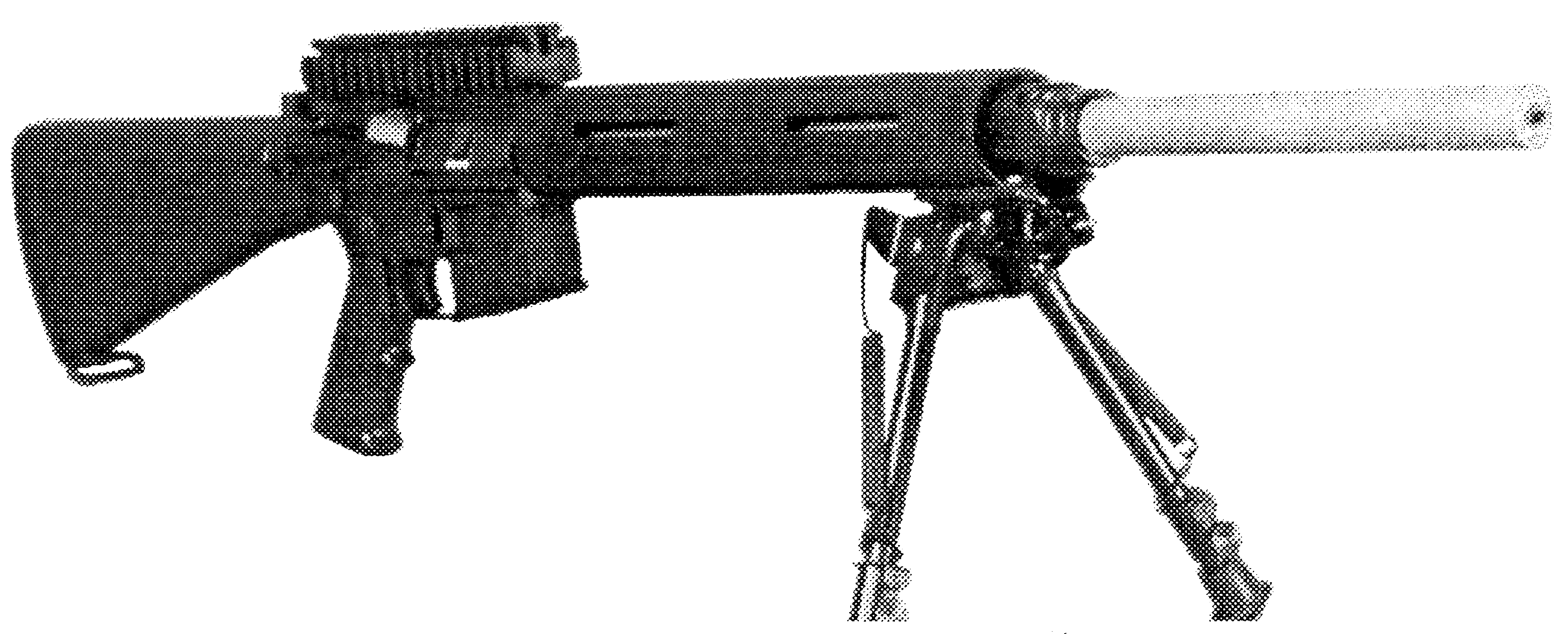 Panther Bull 24
