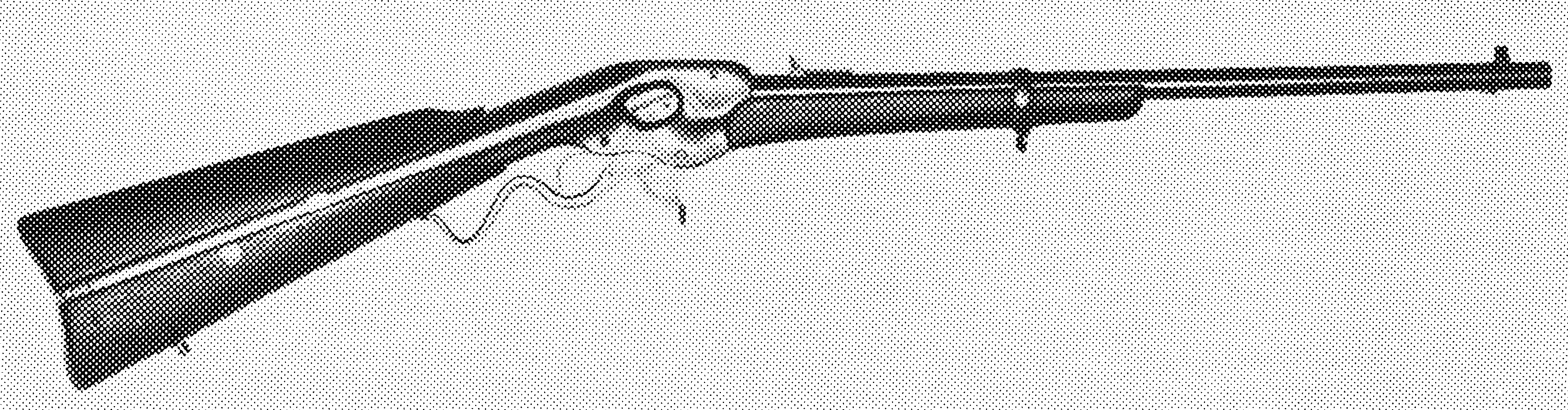 Carbine