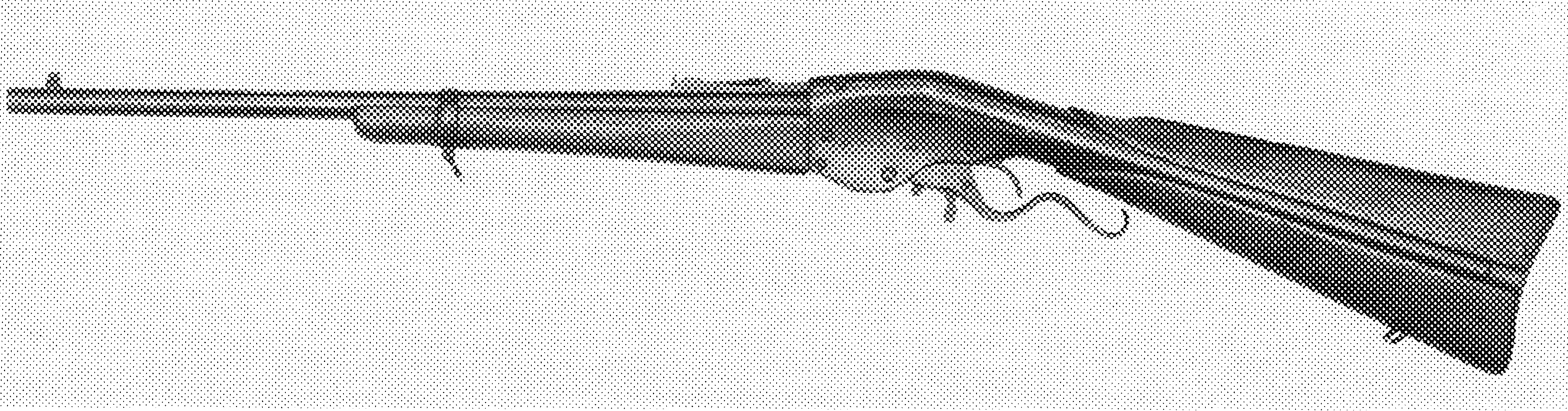 Carbine