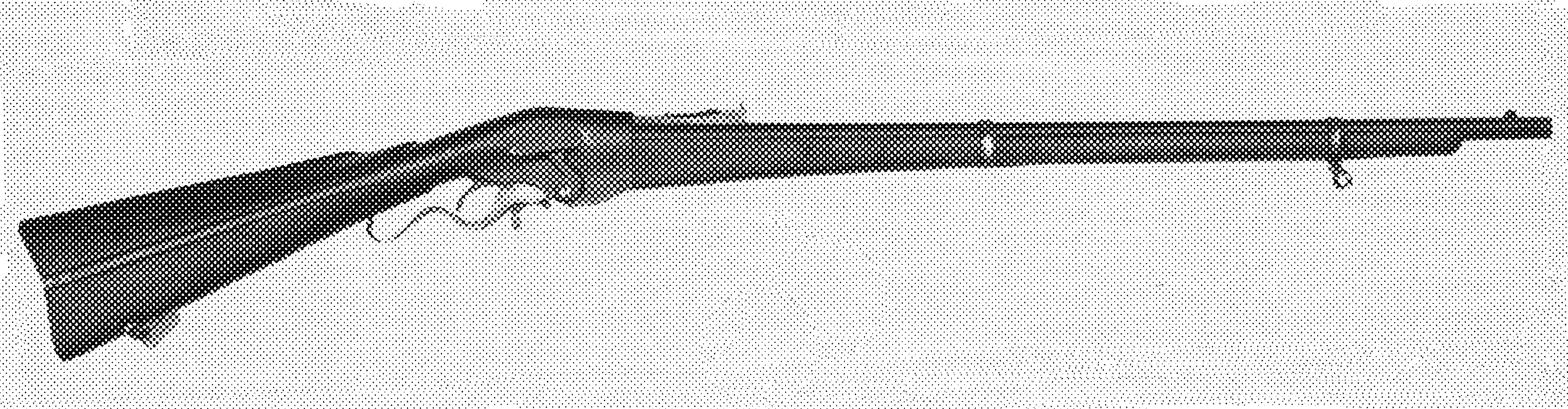 Sporting Rifle