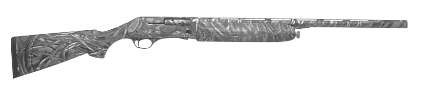 Camo Lion