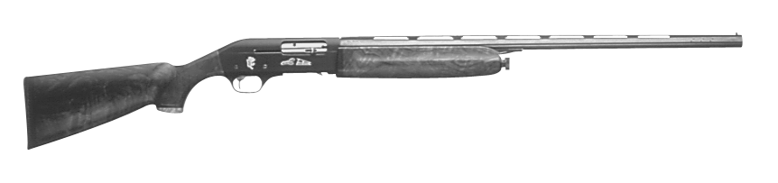 Sporting Clays Lion