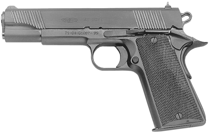 Firestorm .45 Government