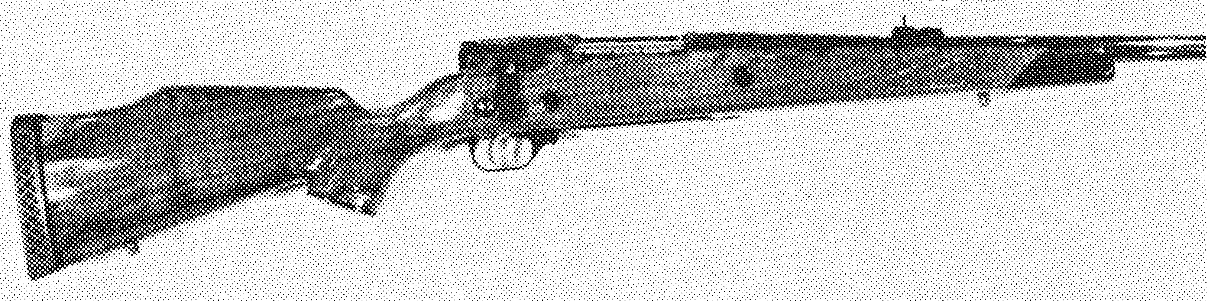 Model 7000 African
