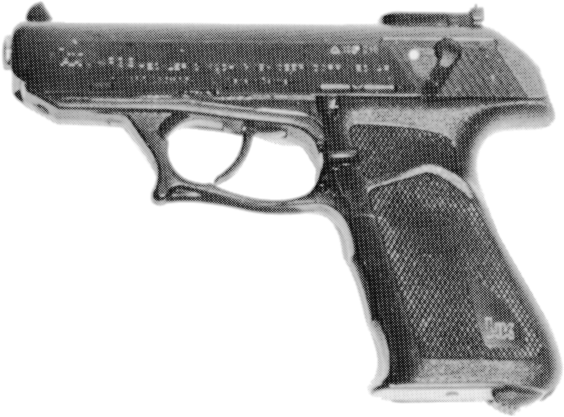 P9S Target Model