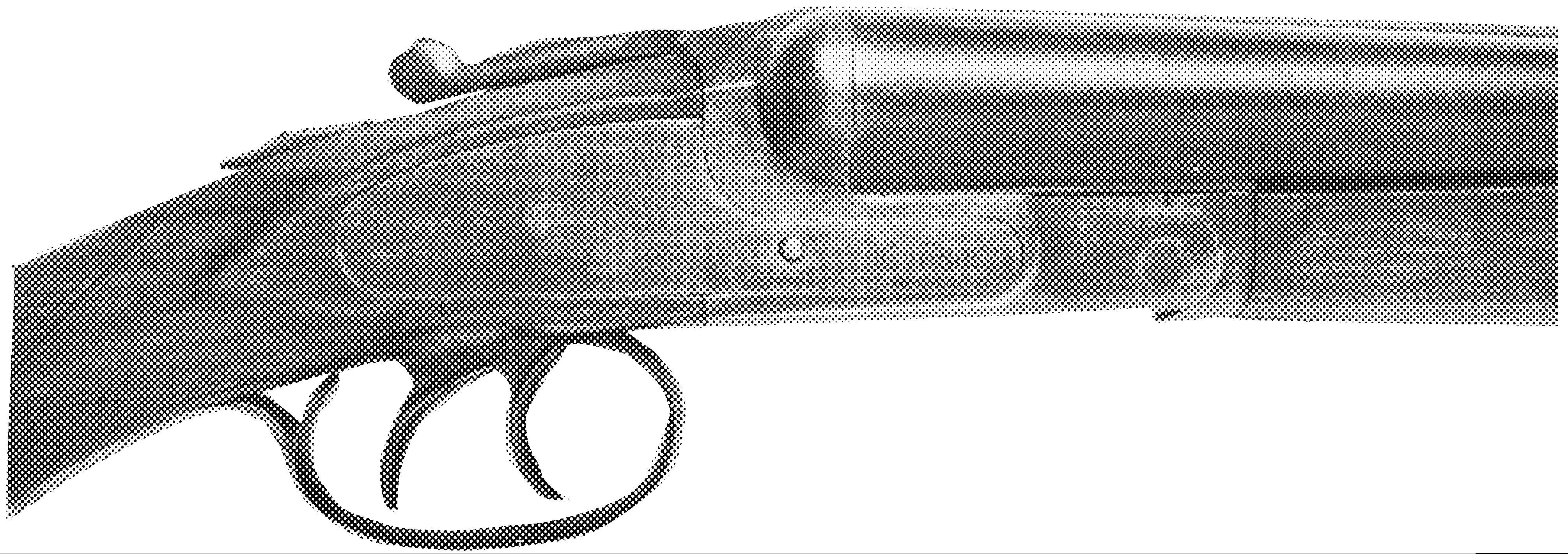 Double-Barrel Shotguns