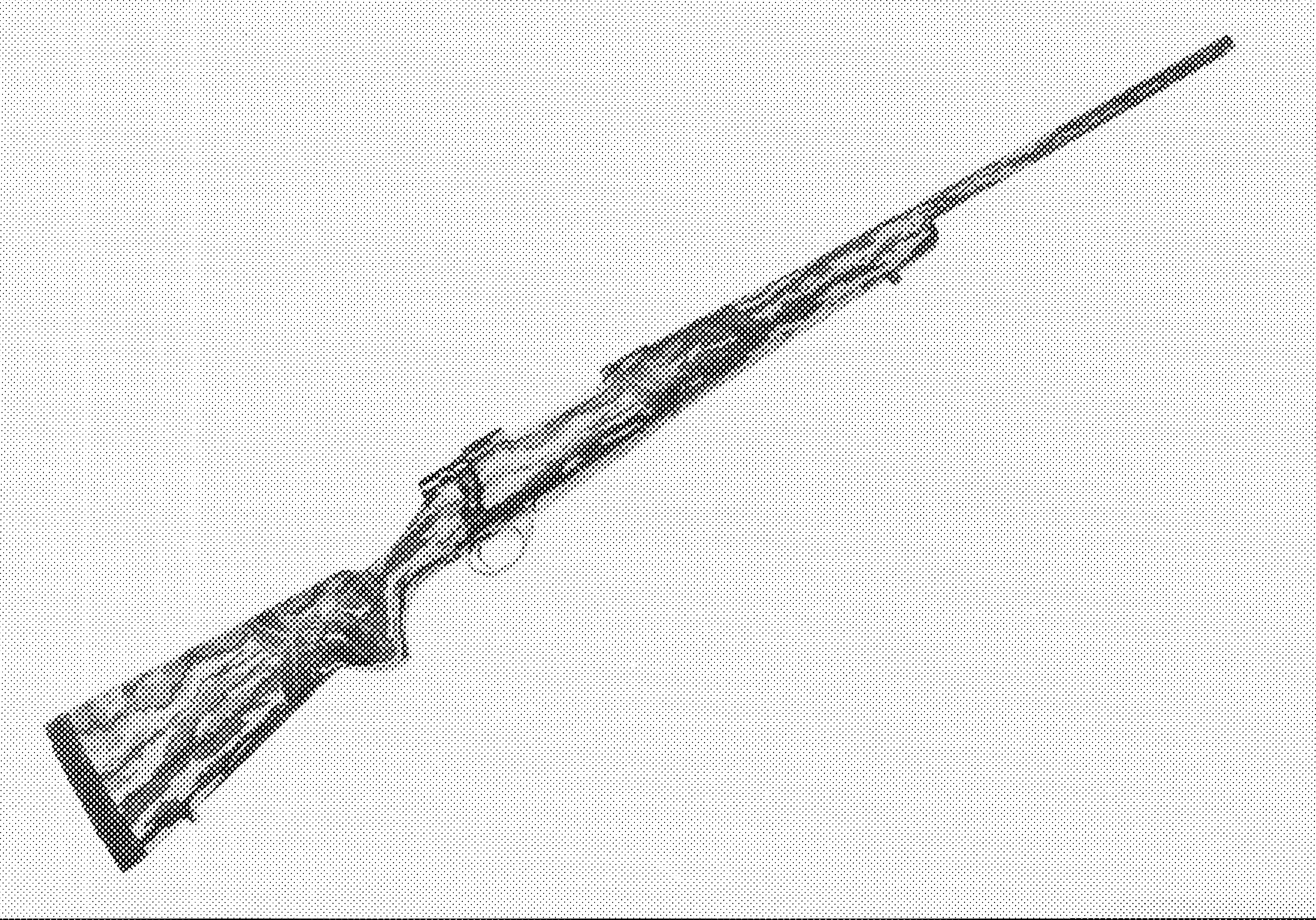 Realtree Camo Rifle