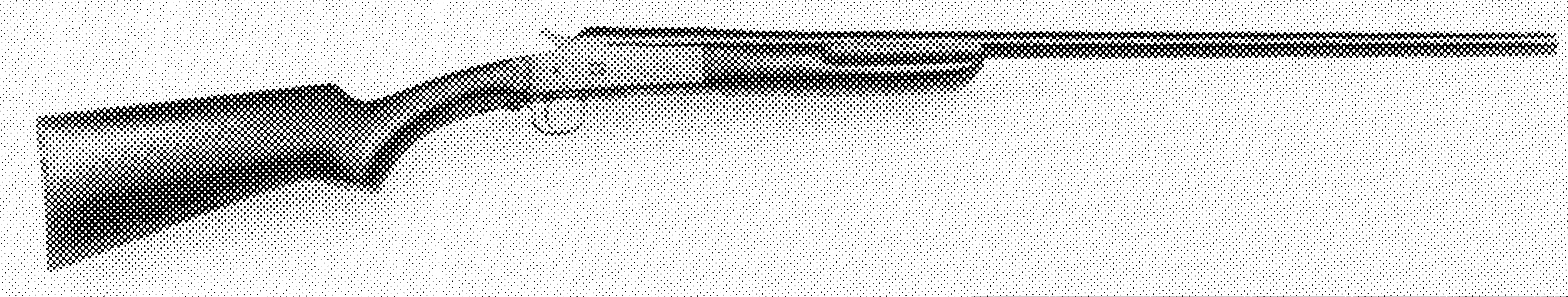 Single-Barrel Shotgun