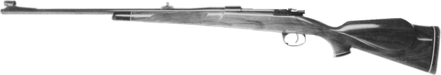 Cavalier