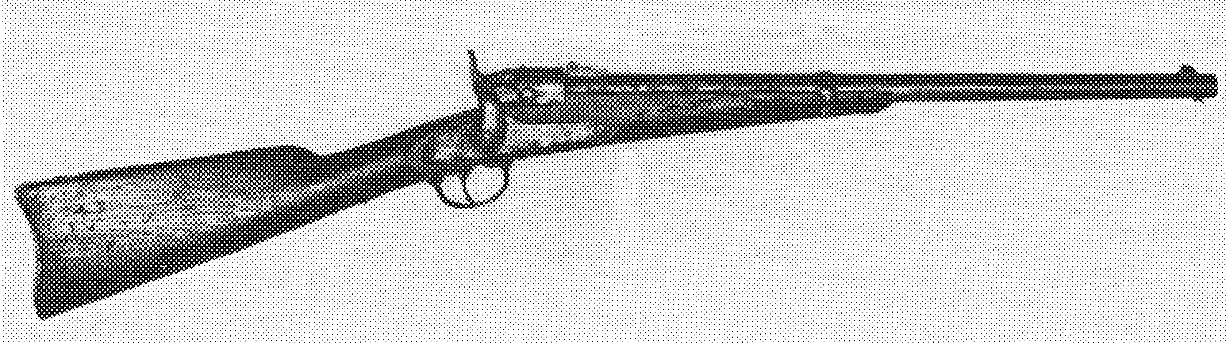 Model 1864 Carbine