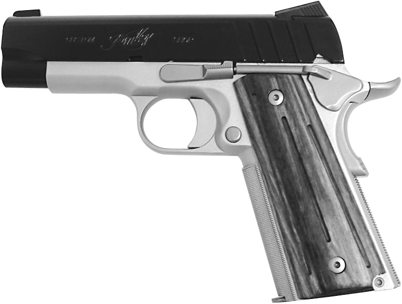 Pro Aegis II