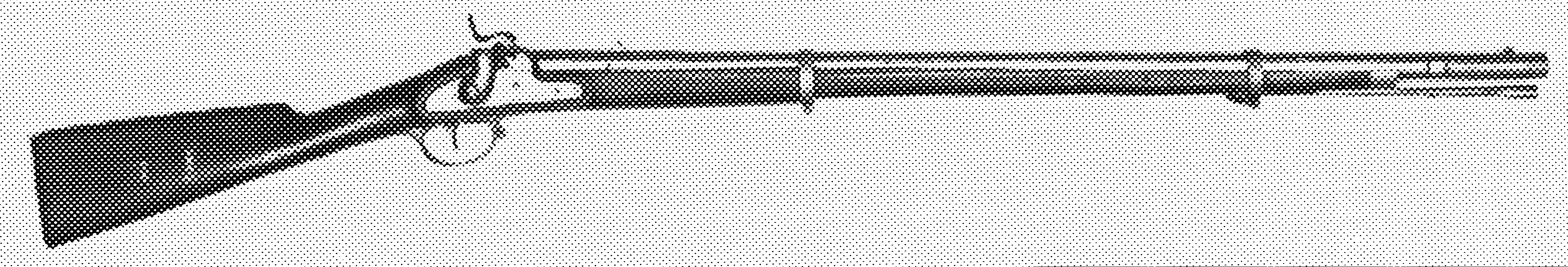 Muzzleloading Rifle