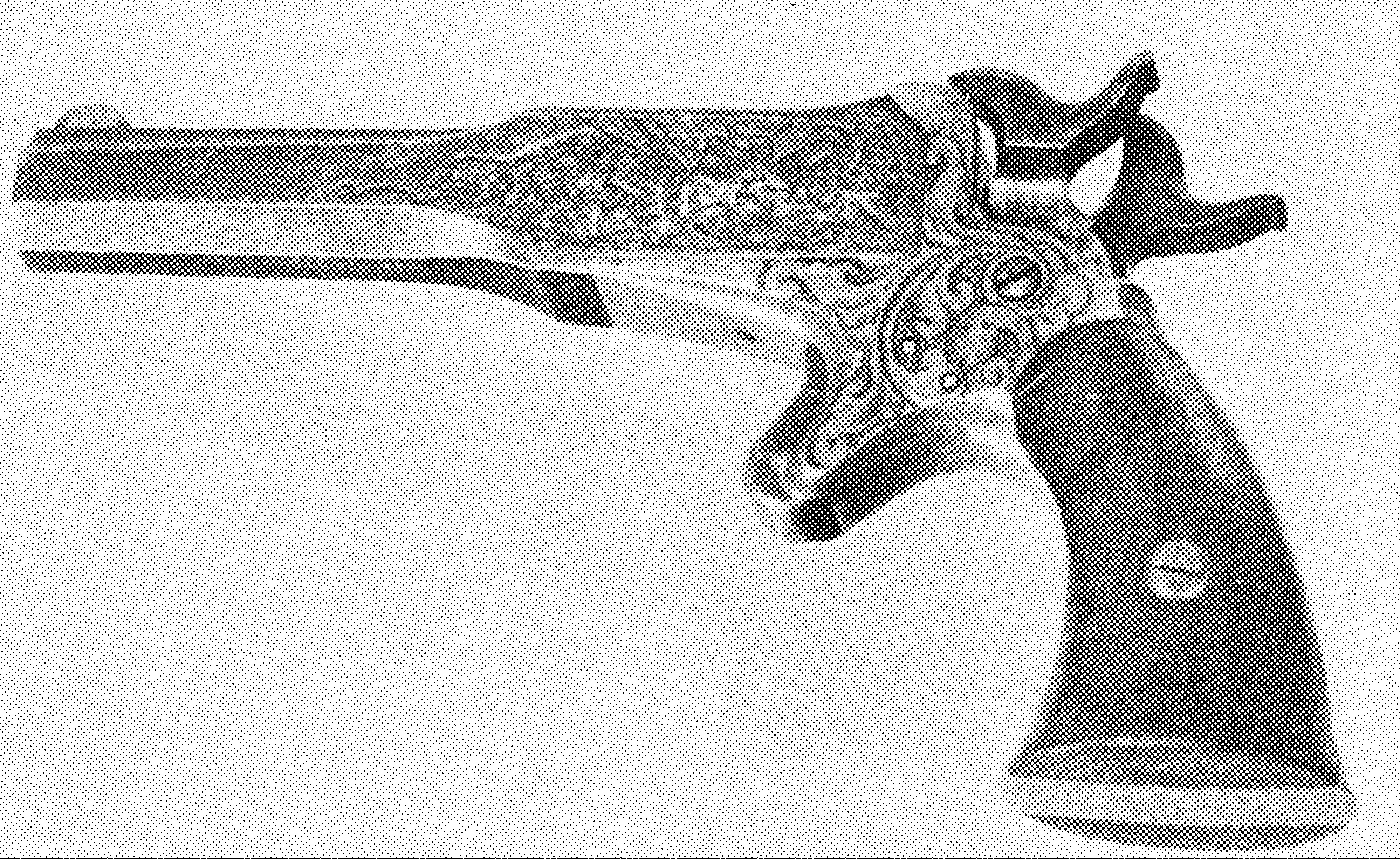 2 Shot Pocket Pistol