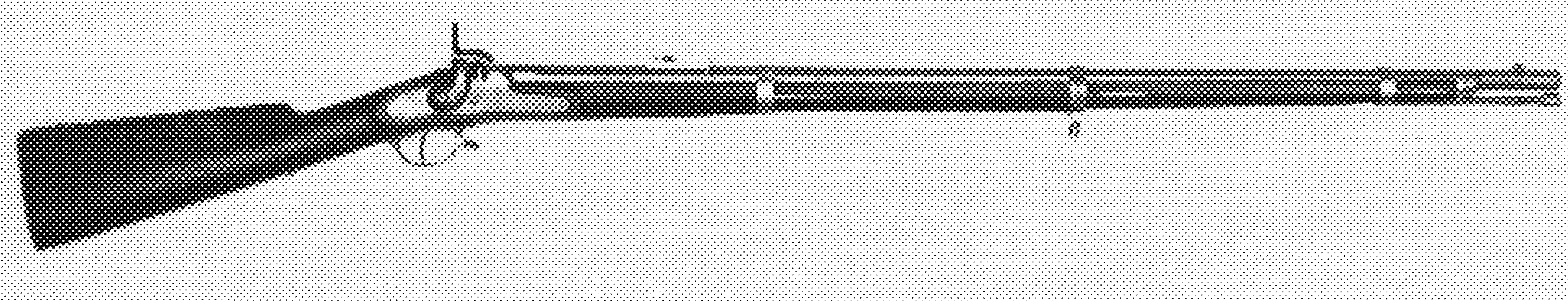 Rifled Musket