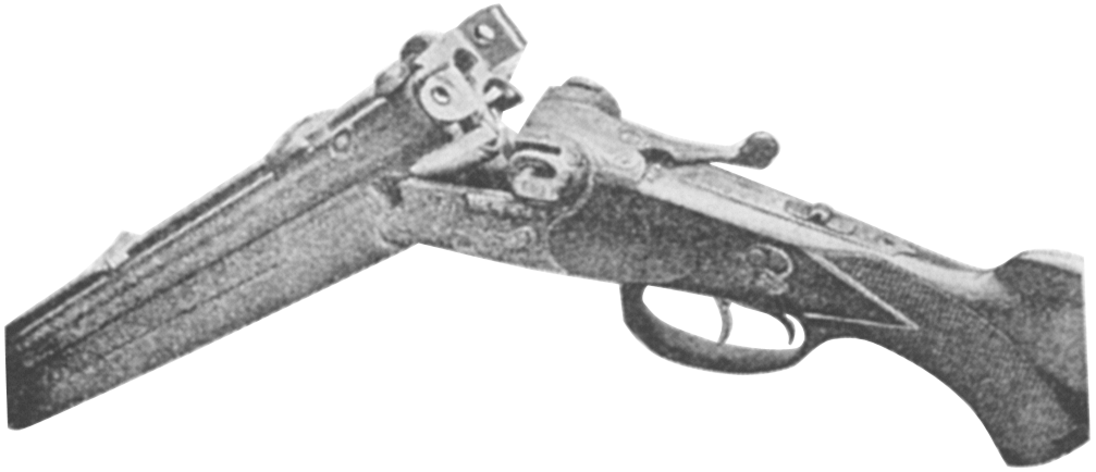 Model 300