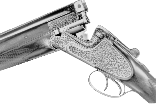 Model 303E