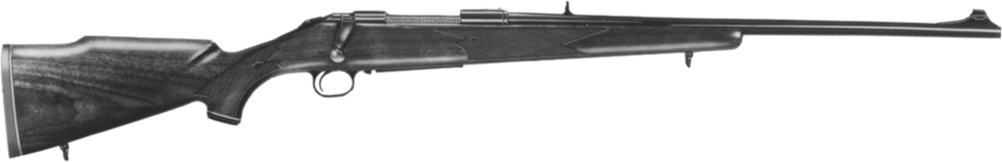 Model 810