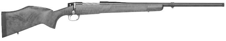 Model 2000DG