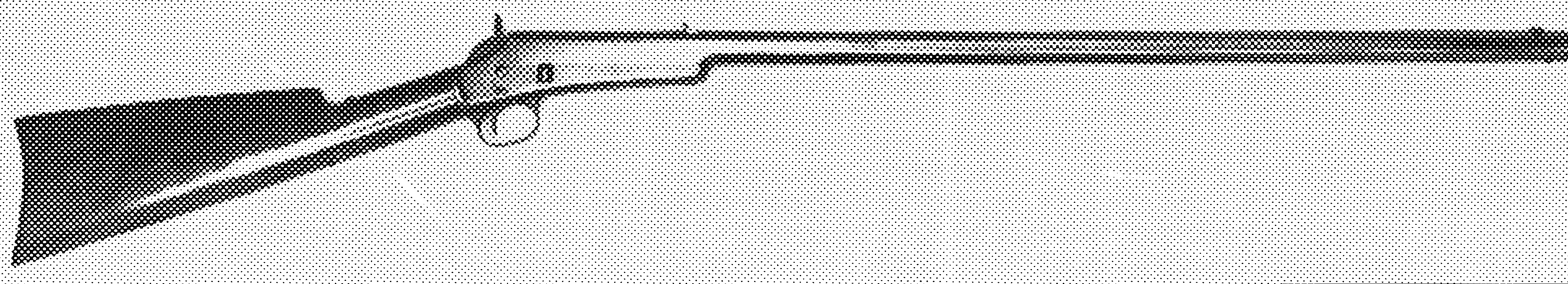 Lee Sporting Rifle