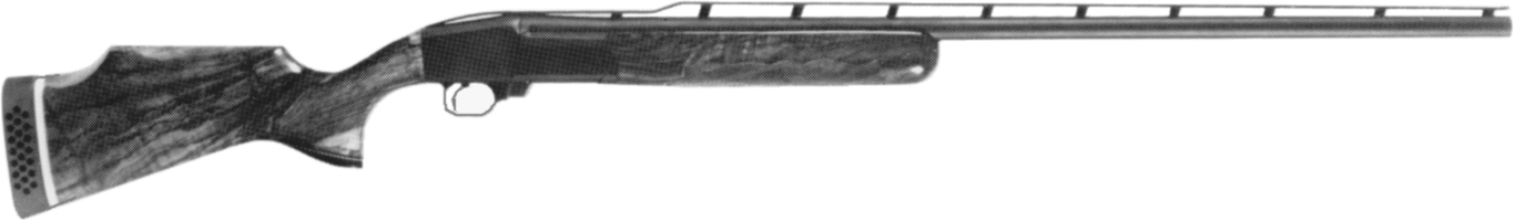 LTX Model