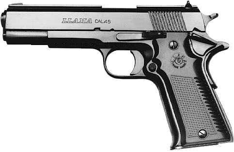 Large Frame Semi-Automatic