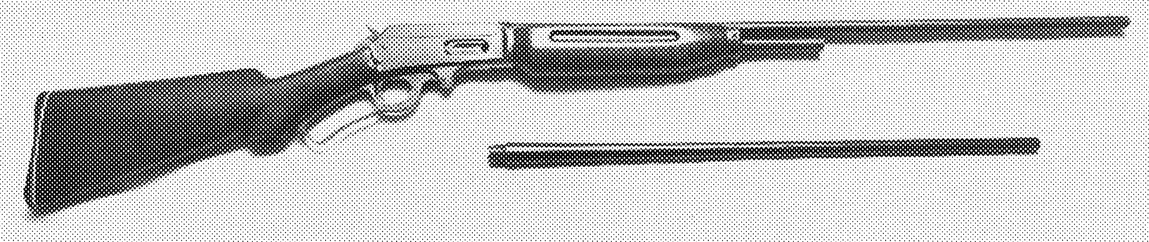 Model .410 Lever-Action Shotgun (Original)