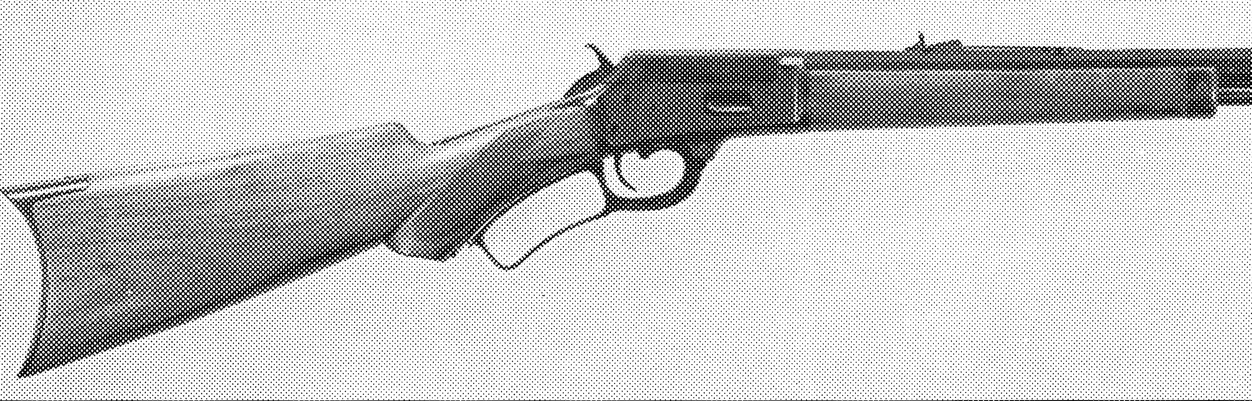 Model 1889 Lever-Action Rifle