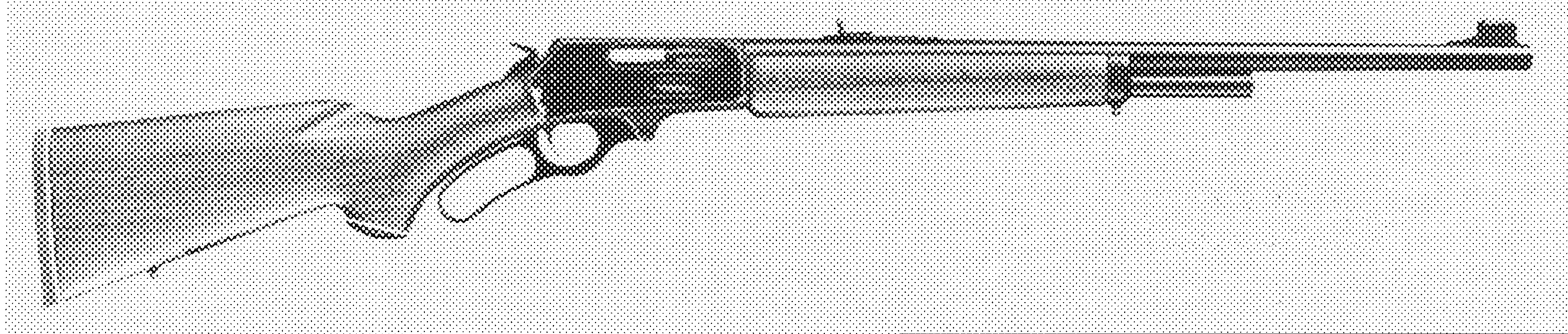 Model 1895 and 1895SS