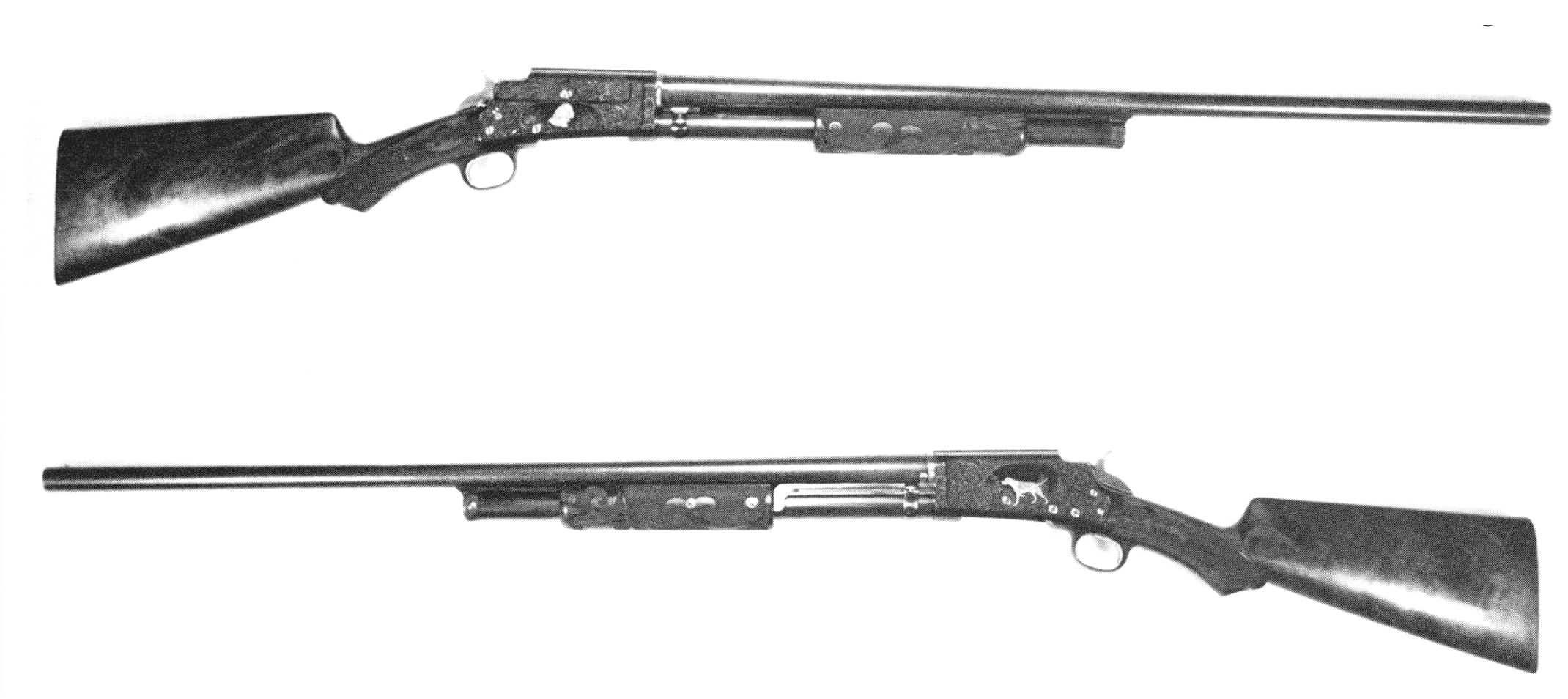 Model 19